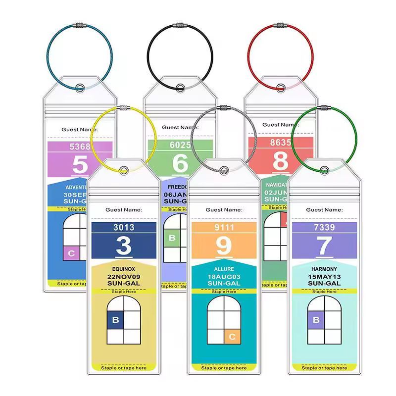 Clear cruise luggage tag holders